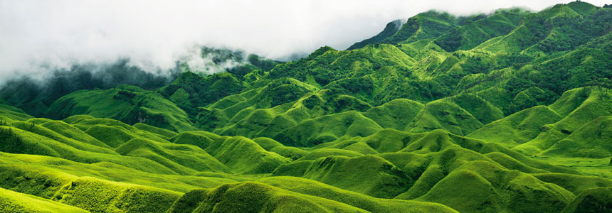 Dzukou Valley and Japfu Peak