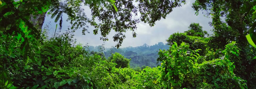 Kamalasgar Picnic Spot