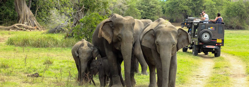 Periyar National Park